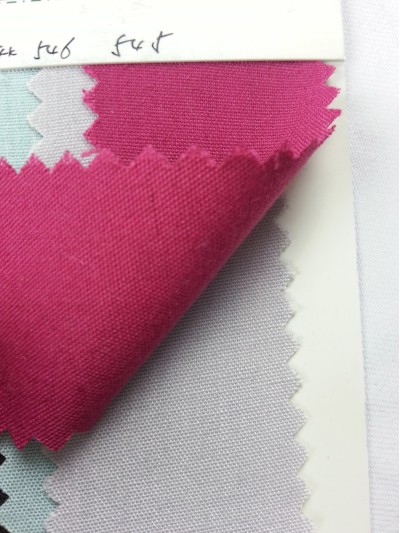 DG-RGFA  6N精細帆布 45度照